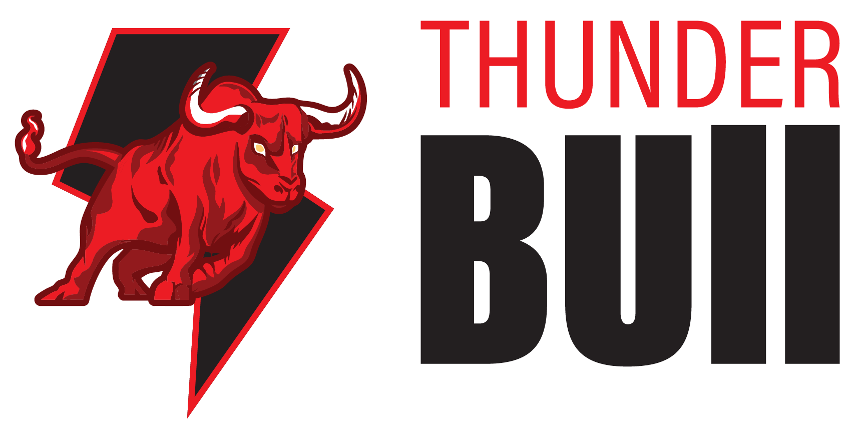Thunder_Bull_black
